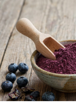 Blueberry Powder exporter