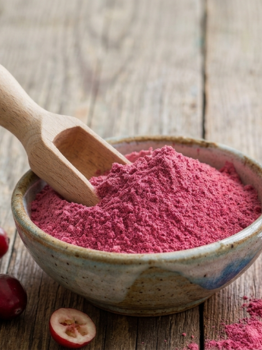 Cranberry Powder exporter