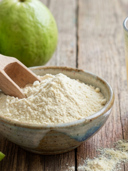 Guava Powder exporter