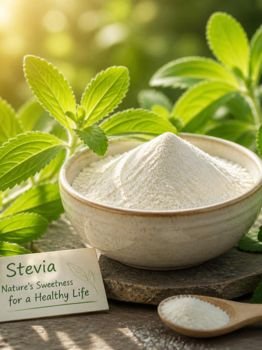 Stevia Powder exporter