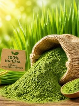 Wheatgrass Powder exporter
