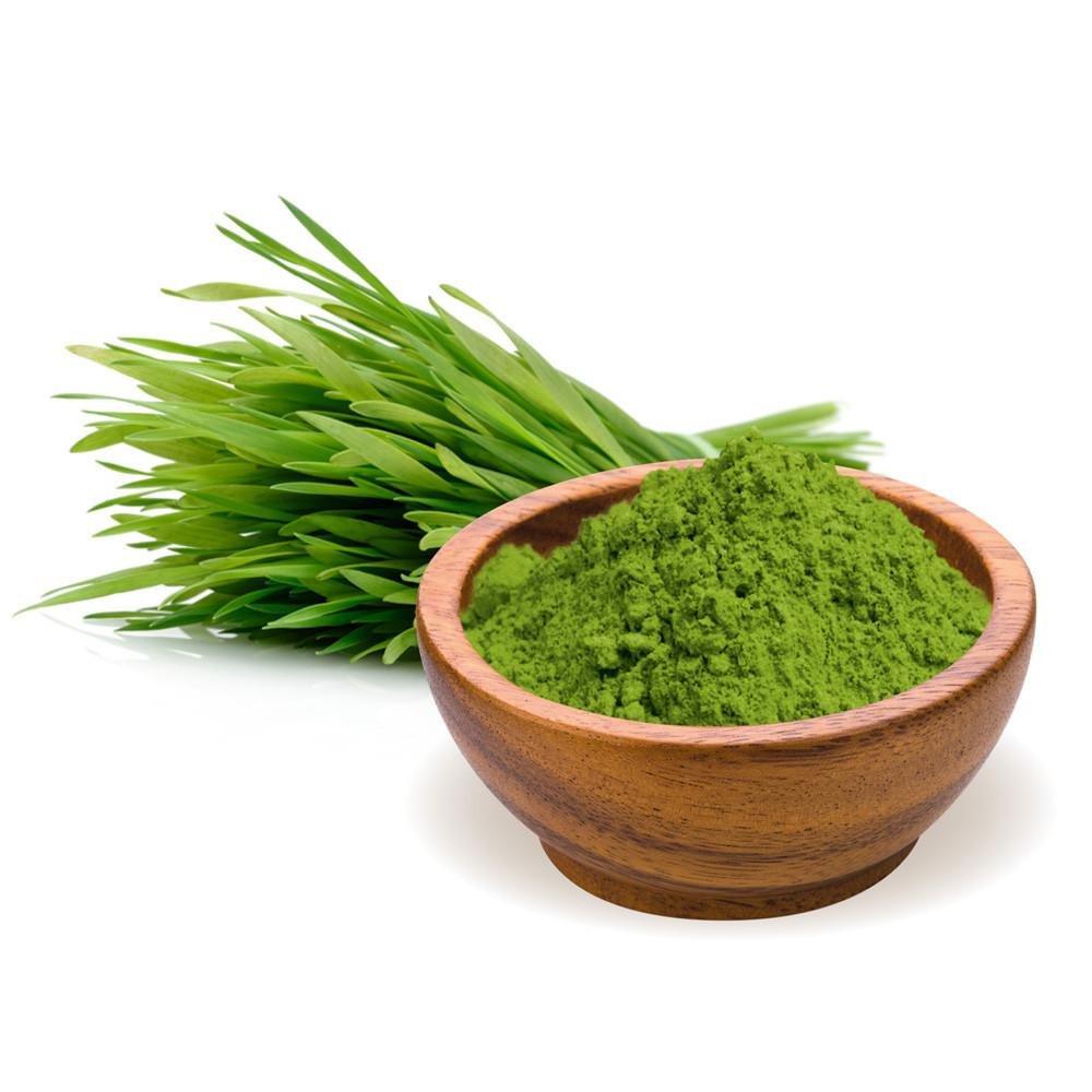 Buy Wheatgrass powder online